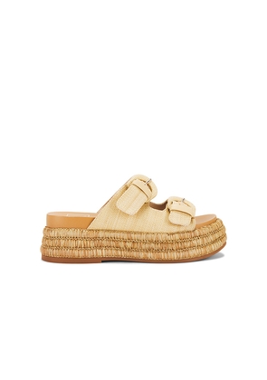 Dolce Vita Witny Sandal in Neutral. Size 10. Also in 9.5.