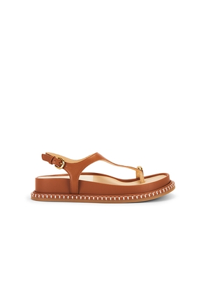 Dolce Vita Steffan Sandal in Brown in Cognac. Size 10. Also in 6, 6.5, 7, 7.5, 8, 8.5, 9, 9.5.