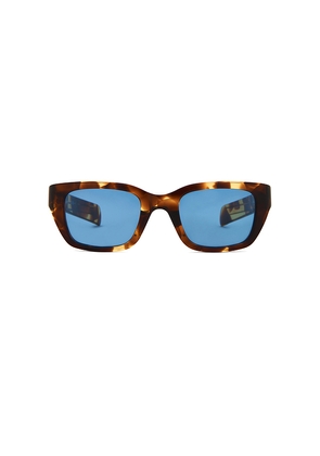 Bottega Veneta Acetate Sunglasses in Brown.