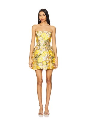 Bronx and Banco Jasmine Maraya Mini Dress in Yellow. Size M. Also in S, XL.