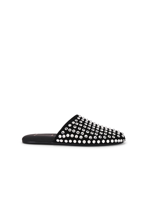 BLACK SUEDE STUDIO Shiloh Flat in Black. Size 6. Also in 7.