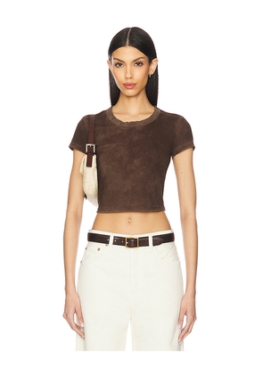 COTTON CITIZEN The Standard Baby Tee in Chocolate. Size L. Also in XS, S, M.