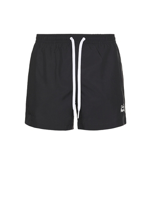 Duvin Design Basics Swim Short in Black. Size L. Also in XL/1X.