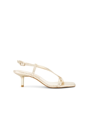 Dolce Vita Laury Sandal in Metallic Gold. Size 6. Also in 6.5, 8.5.