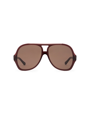 Chloe Aviator Sunglasses in Brown.