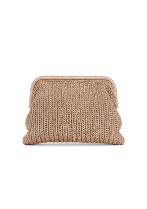 BTB Los Angeles Zinc Clutch in Brown.