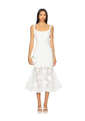 Bardot Marico Lace Midi Dress in White. Size 10. Also in 4, 6, 8.