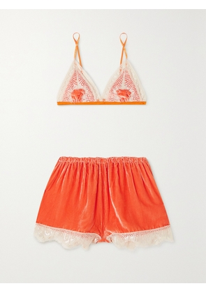 SLEEPING WITH JACQUES - + Net Sustain Julia Lace-trimmed Silk-blend Satin And Velvet Soft-cup Bra And Shorts Set - Orange - 01,2,3,4