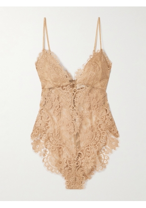 Zimmermann - Illusion Velvet-trimmed Lace Bodysuit - Brown - 00,0,1,2,3,4