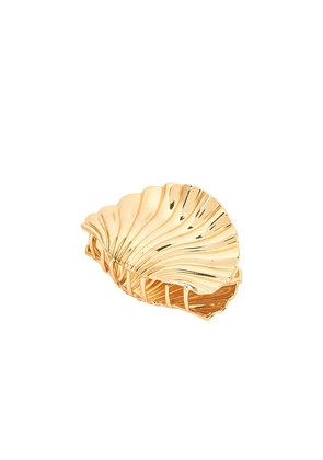 BRACHA Shell Hair Clip in Metallic Gold.