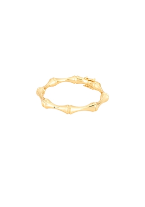 Eddie Borgo Bambu Bangle Bracelet in Metallic Gold.