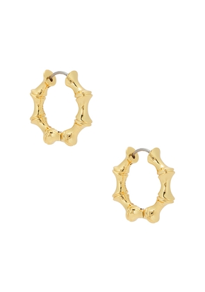 Eddie Borgo Bambu Hoops in Metallic Gold.