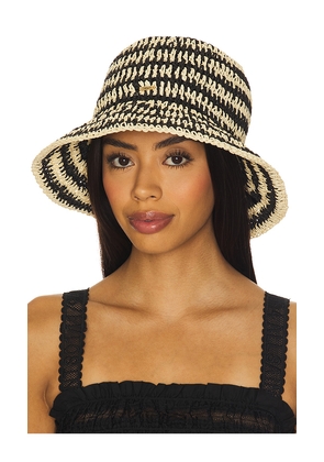 Eugenia Kim Jonah Bucket Hat in Black,Cream.