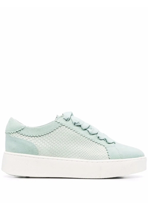 Geox Skyely snakeskin-effect sneakers - Blue