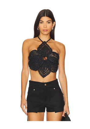 Cult Gaia Darlena Crochet Top in Black. Size L. Also in M, XS.