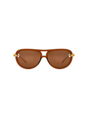 Bottega Veneta New Knot Sunglasses in Brown.