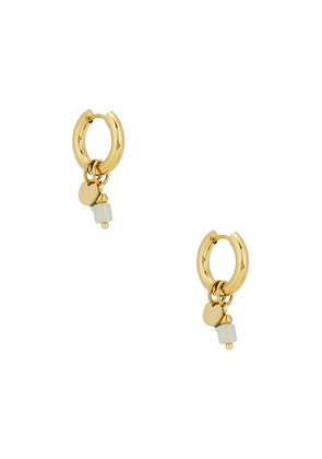 BRACHA Sage Hoop Earrings in Metallic Gold.