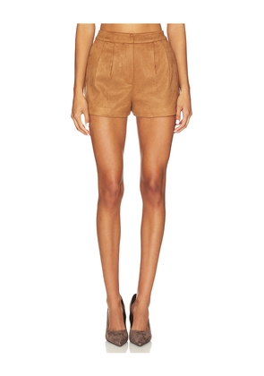 ASTR the Label Jude Shorts in Brown. Size L. Also in M, XL.