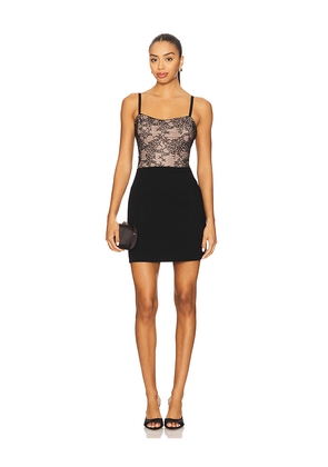Alice + Olivia Carla Lace Corset Mini Dress in Black. Size 0. Also in 10, 2, 4, 6, 8.