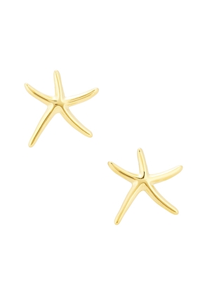 Casa Clara Aleria Stud Earrings in Metallic Gold.