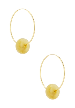 Casa Clara Boheme Hoop Earrings in Metallic Gold.
