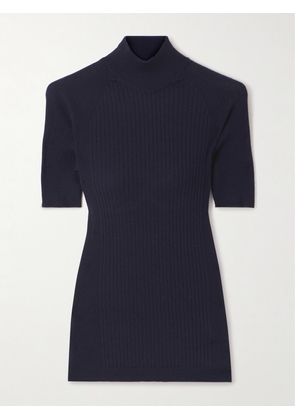 SASUPHI - Ribbed-knit Cashmere And Silk-blend Sweater - Blue - IT36,IT38,IT40,IT42,IT44,IT46