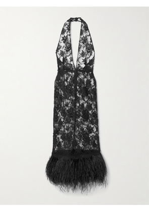 Dolce & Gabbana - Feather-trimmed Cotton-blend Lace Halterneck Dress - Black - IT36,IT38,IT40,IT42
