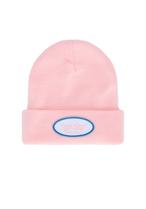 Boys Lie Pink Charmer Beanie in Pink.
