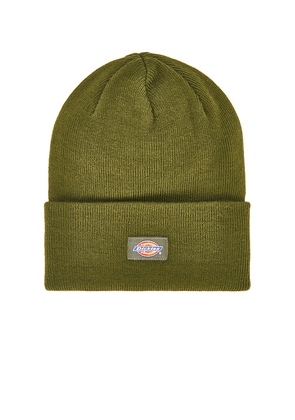 Dickies Tall Cuff Beanie in Green.