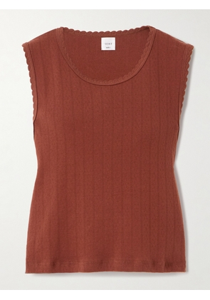 LESET - Scalloped Pointelle-knit Cotton Tank - Red - x small,small,medium,large