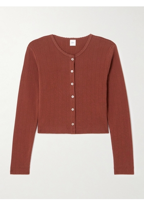 LESET - Scalloped Pointelle-knit Cotton Cardigan - Red - x small,small,medium,large