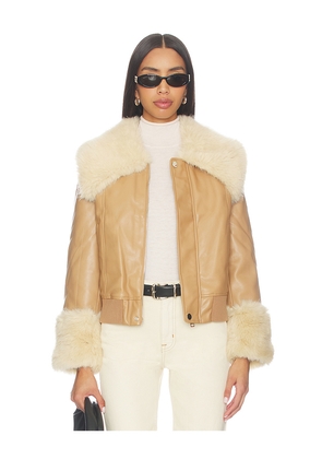 Bubish Willow Jacket in Tan. Size 10/M. Also in 12/L, 14/XL, 6/XS, 8/S.