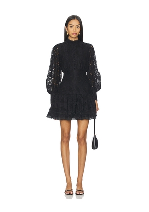 Bardot Olessia Lace Mini Dress in Black. Size 4. Also in 6, 8.