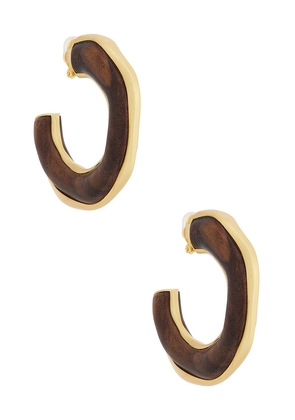 Cult Gaia Madeira Earring in Brown.