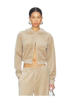 Alexander Wang Allover Hotfix Shrunken Hoodie in Tan. Size L. Also in M, XS.