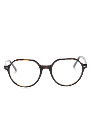 Ray-Ban Thalia round-frame sunglasses - Brown