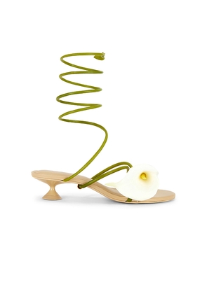 Cult Gaia Claire Sandal in Green,White. Size 36. Also in 36.5, 37, 37.5, 38, 38.5, 39, 39.5, 40.