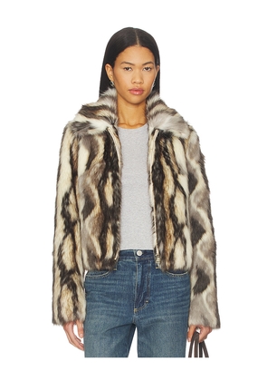 Adrienne Landau Emory Jacket in Gray, Brown. Size L. Also in M, S.