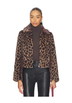 ALLSAINTS Saye Faux Fur Jacket in Brown. Size L. Also in M, S.