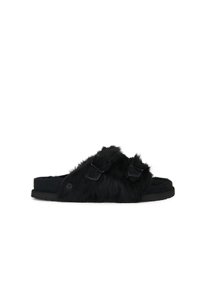 Birkenstock 1774 Zurich Pony Shearling 1774 Sandal in Black. Size 41. Also in 42, 43, 44, 45.