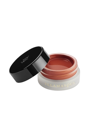 ILLAMASQUA Colour Veil Hybrid Blusher in Brown.