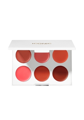 ICONIC LONDON Multi-use Lip & Cheek Palette in Beauty: NA.