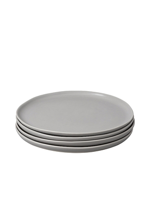 Fable The Salad Plates Set of 4 in Grey.