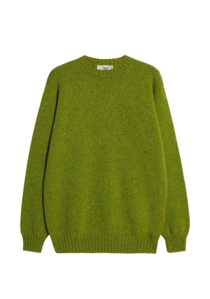 Fortela crew-neck sweater - Green