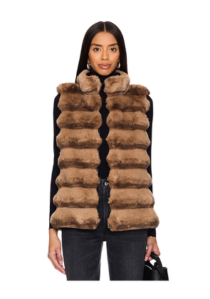 jocelyn Plush Faux Fur Reversible Vest in Beige. Size L. Also in M, S, XL, XS.