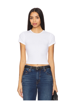 Good American Cotton Pointelle Baby Tee in White. Size 3X. Also in 5X.