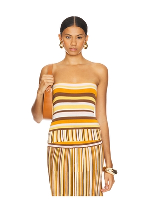 FAITHFULL THE BRAND Citara Strapless Top in Brown. Size L. Also in XL.