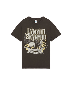 Junk Food Lynyrd Skynyrd Since 1974 Tee in Brown. Size S. Also in XL/1X.
