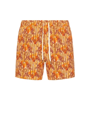 Fair Harbor x White Lotus The Bungalow Swim Trunk in Orange. Size S. Also in XL/1X.