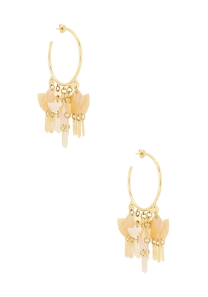 Isabel Marant Yue Large Hoop Earrings in Metallic Gold.